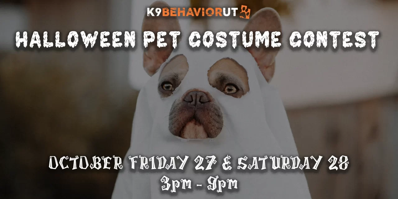 HALLOWEEN PET COSTUME CONTEST